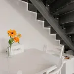 Volta Collection By Halldis * Côme